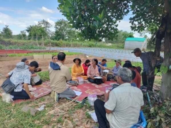 ចុះចែកគ្រាប់ពូជប៉េងប៉ោះឆឺរីស៊ីធី២៥ ជូនកសិករនៅក្នុង សហគមន៍កសិកម្មគោកមនមានជ័យ និងសហគមន៍កសិកម្មបន្លែបៃតងភ្នំដងរែក ដែលទទួលបានផ្ទះសំណាញ់ពីគម្រោង និងកសិករផ្សេងៗទៀត