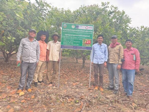 ផ្ទៀតផ្ទាត់ និងជ្រើសរើសកសិករសហការធ្វើបង្ហាញដំណាំស្វាយចន្ទី និងដំណាំដំឡូងមី តាមសហគមន៍កសិកម្មខេត្តគោលដៅរបស់គម្រោង