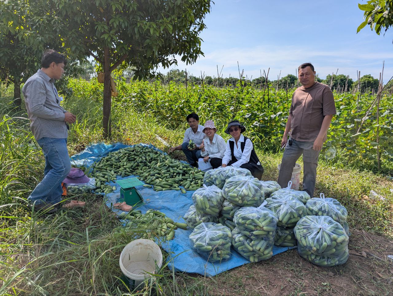ចុះត្រួតពិនិត្យនិងវាយតម្លៃផលប៉ះពាល់បរិស្ថាននិងសង្គមលើហេដ្ឋារចនាសម្ព័ន្ធ ...